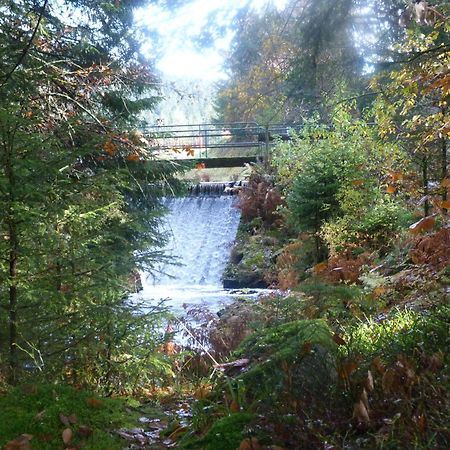 Domaine Des Hauts Viaux La Bresse Esterno foto