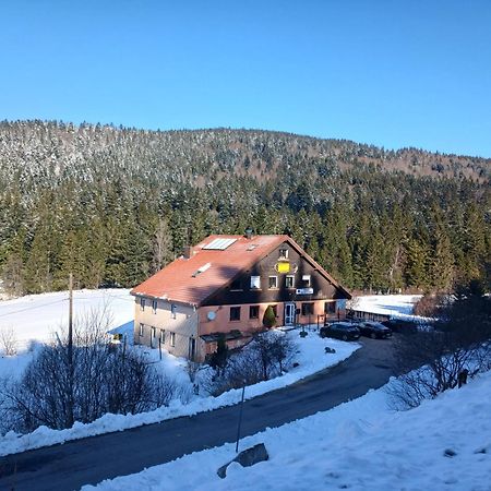 Domaine Des Hauts Viaux La Bresse Esterno foto