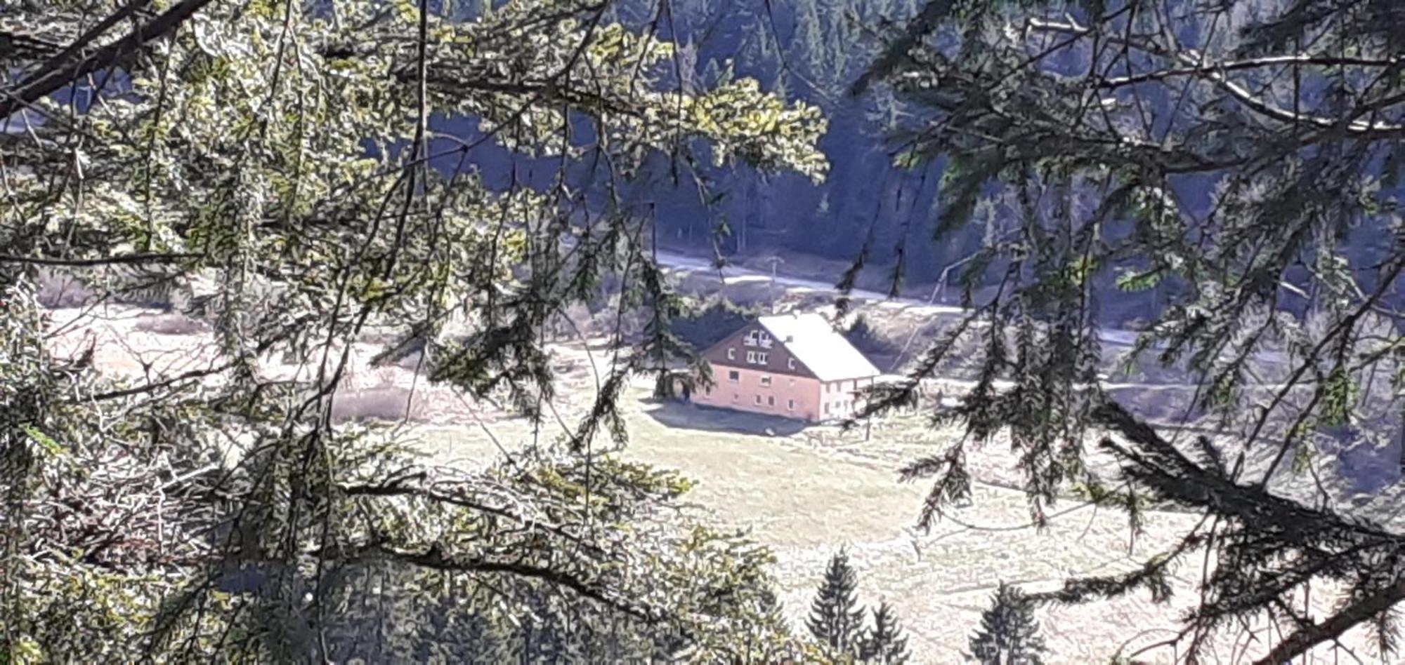 Domaine Des Hauts Viaux La Bresse Esterno foto