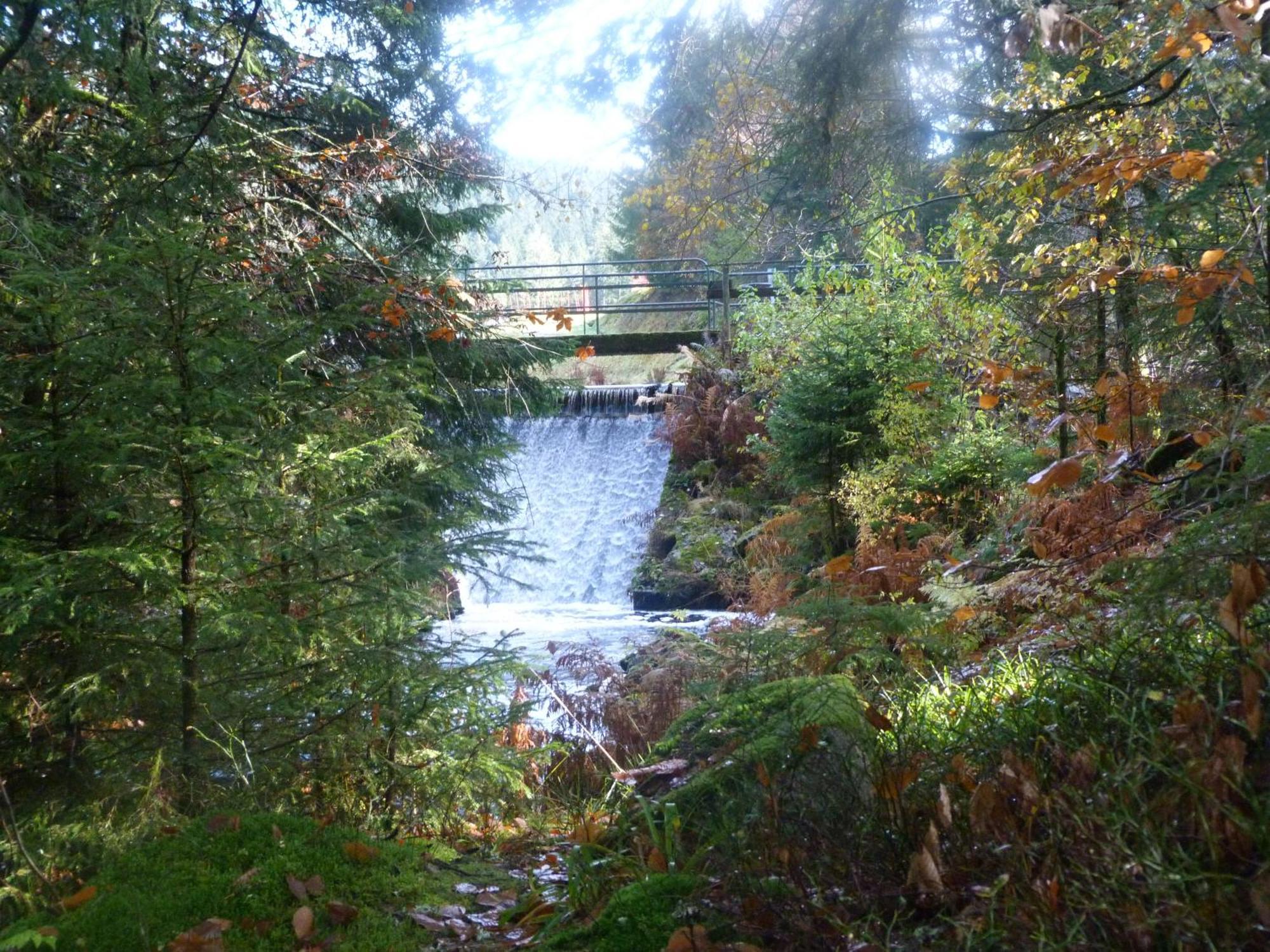 Domaine Des Hauts Viaux La Bresse Esterno foto