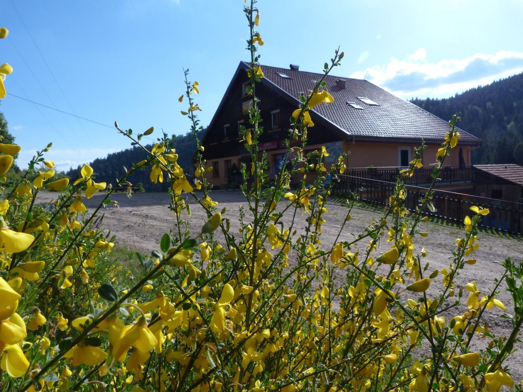 Domaine Des Hauts Viaux La Bresse Esterno foto