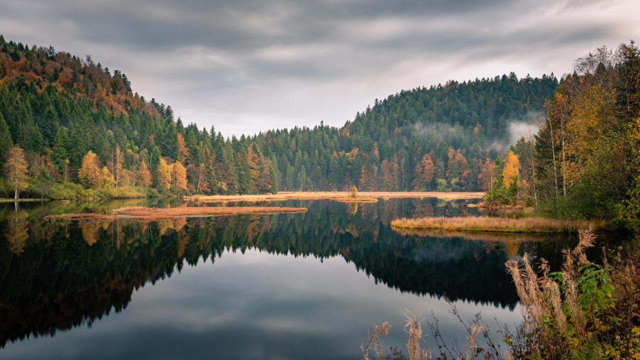 Domaine Des Hauts Viaux La Bresse Esterno foto