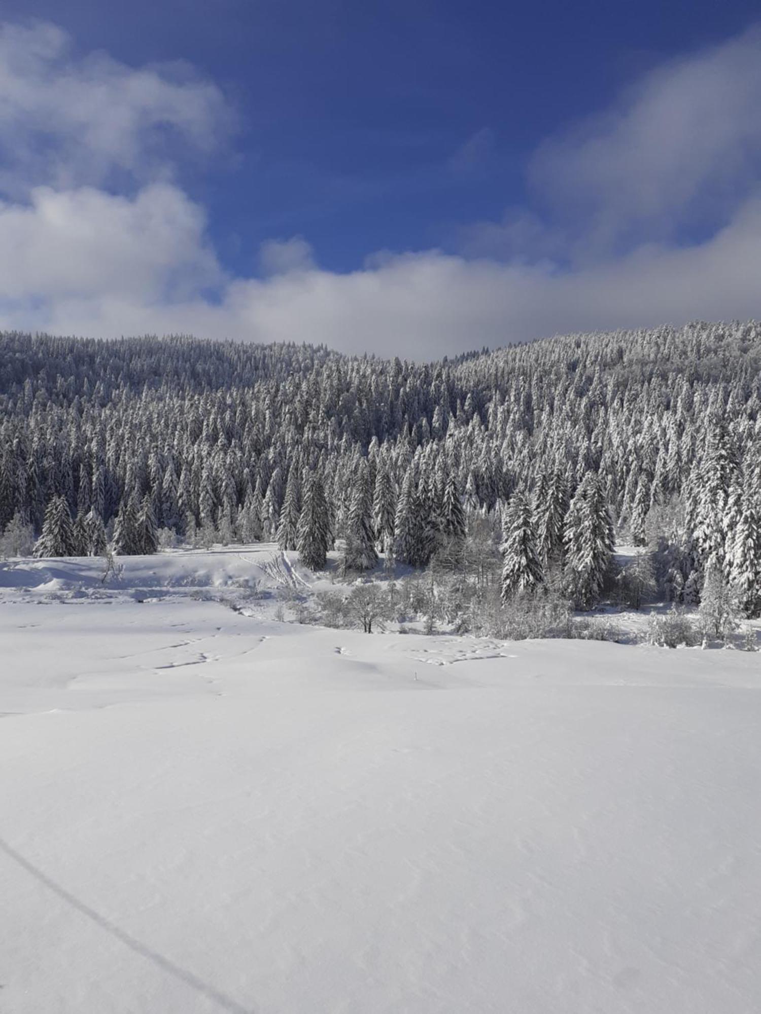 Domaine Des Hauts Viaux La Bresse Esterno foto