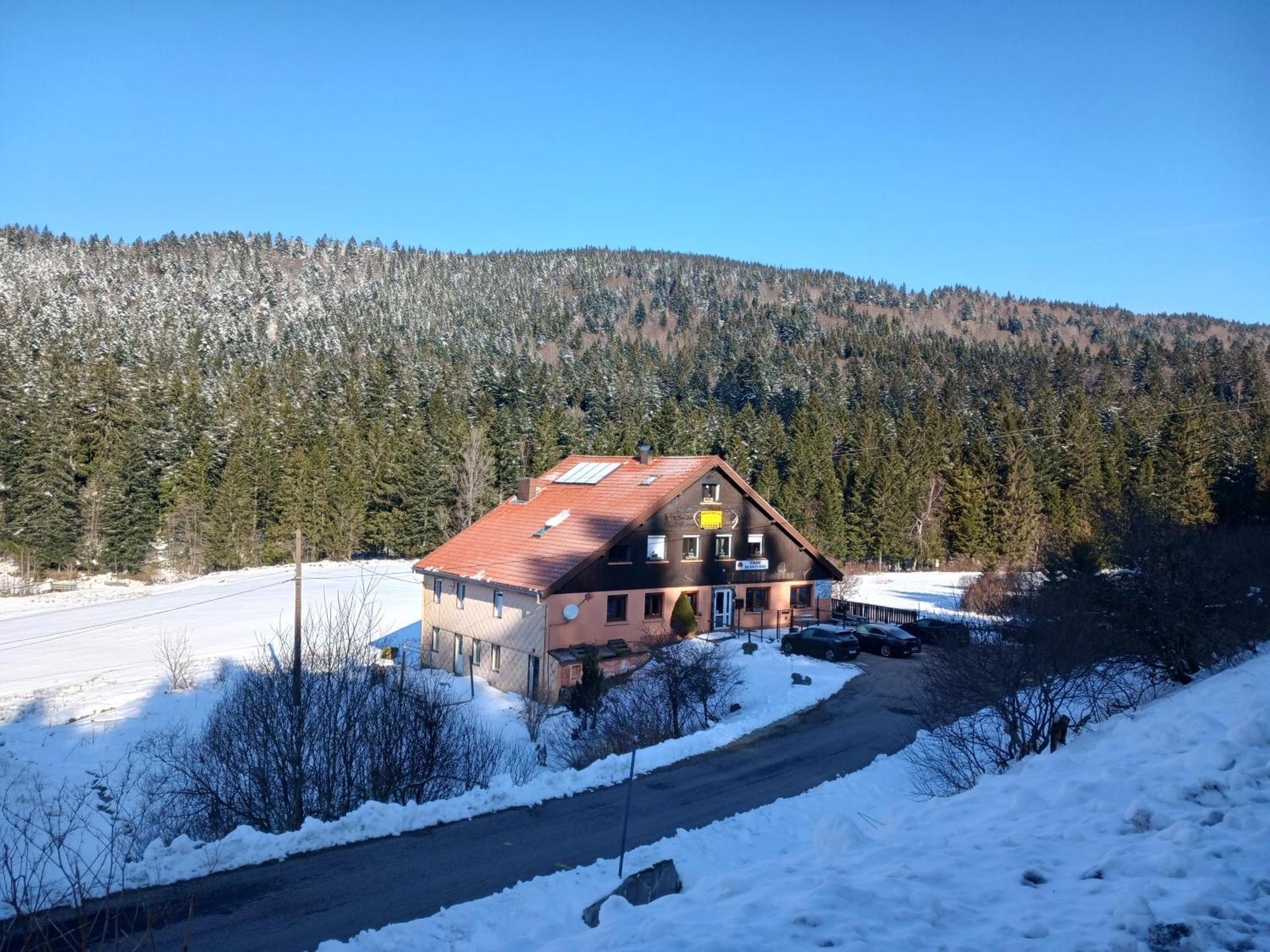 Domaine Des Hauts Viaux La Bresse Esterno foto
