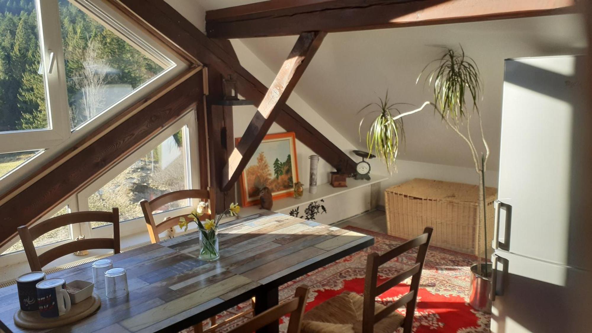 Domaine Des Hauts Viaux La Bresse Esterno foto