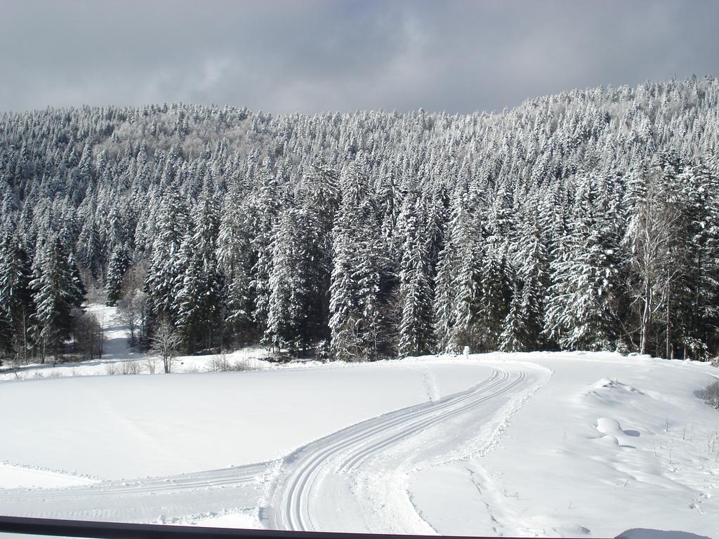 Domaine Des Hauts Viaux La Bresse Esterno foto