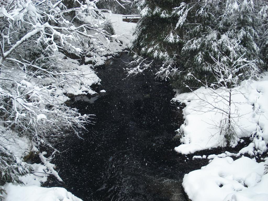 Domaine Des Hauts Viaux La Bresse Esterno foto