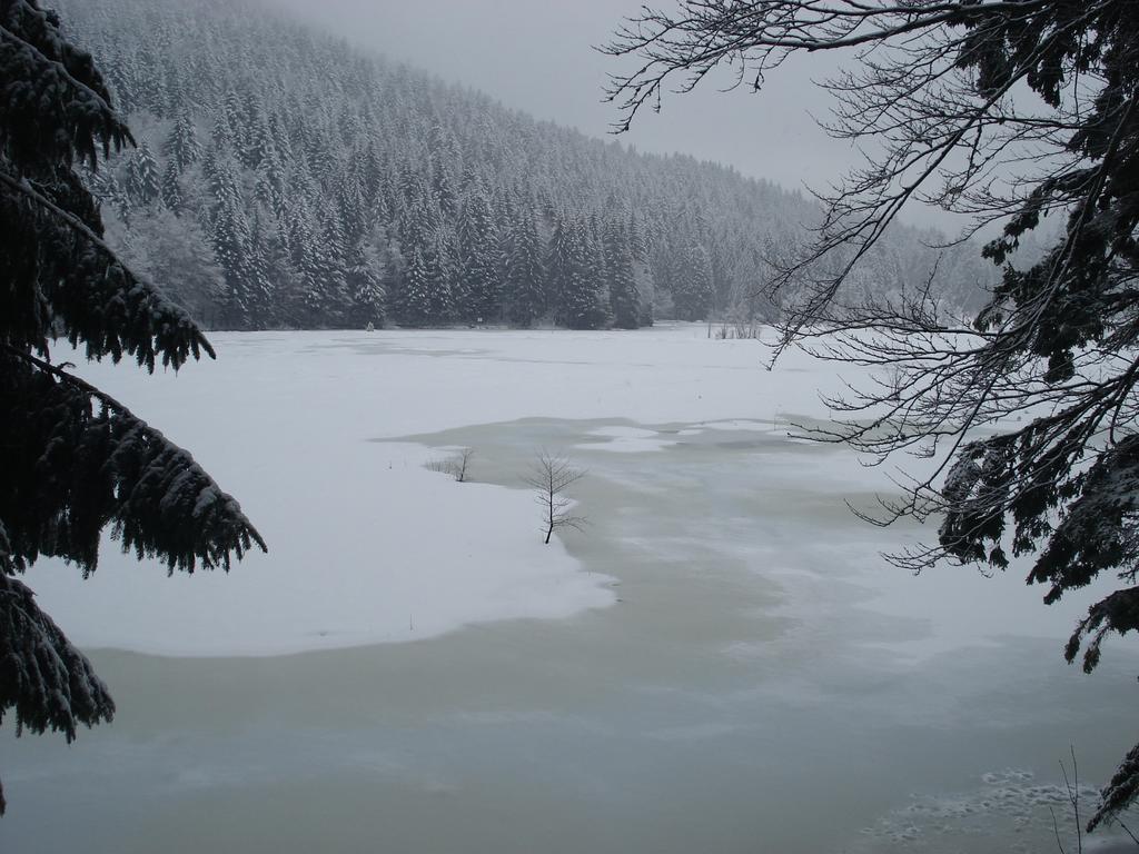 Domaine Des Hauts Viaux La Bresse Esterno foto