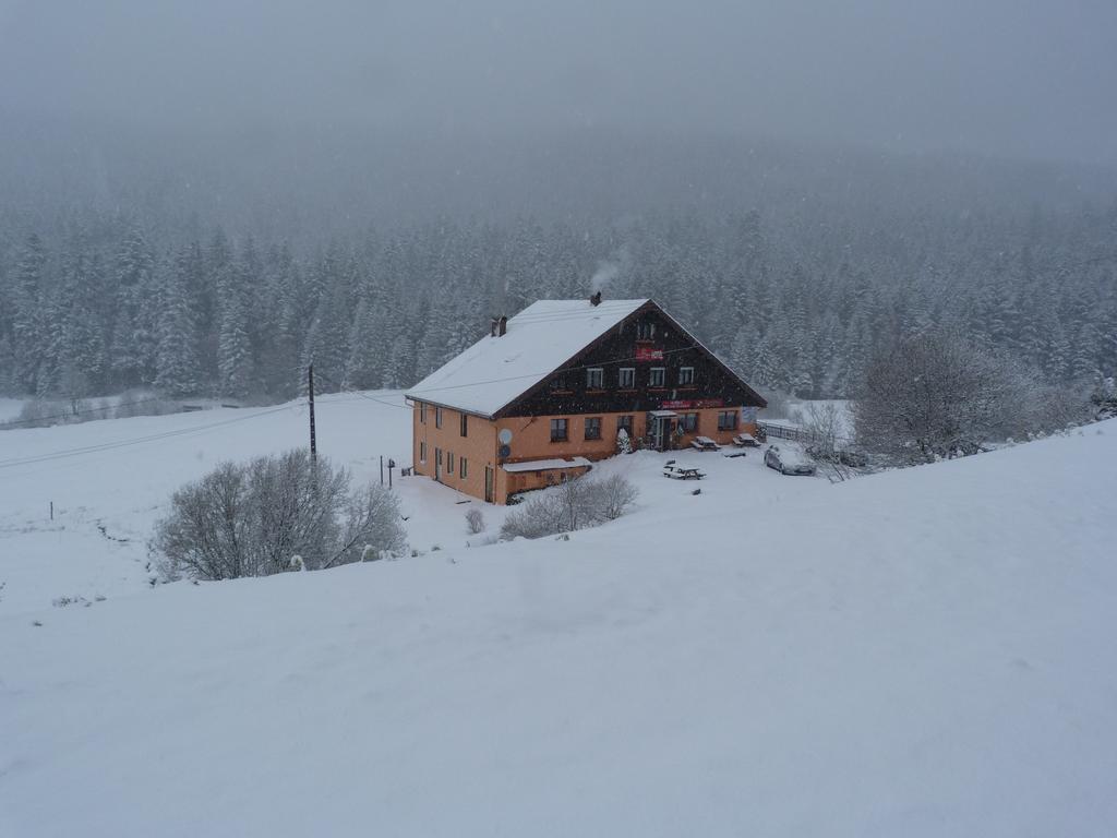 Domaine Des Hauts Viaux La Bresse Esterno foto