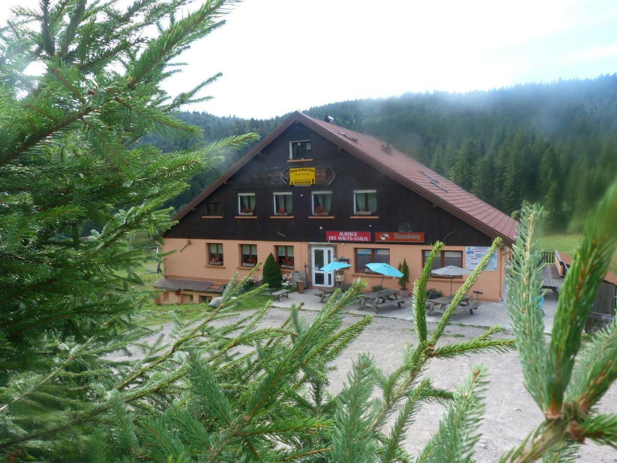 Domaine Des Hauts Viaux La Bresse Esterno foto