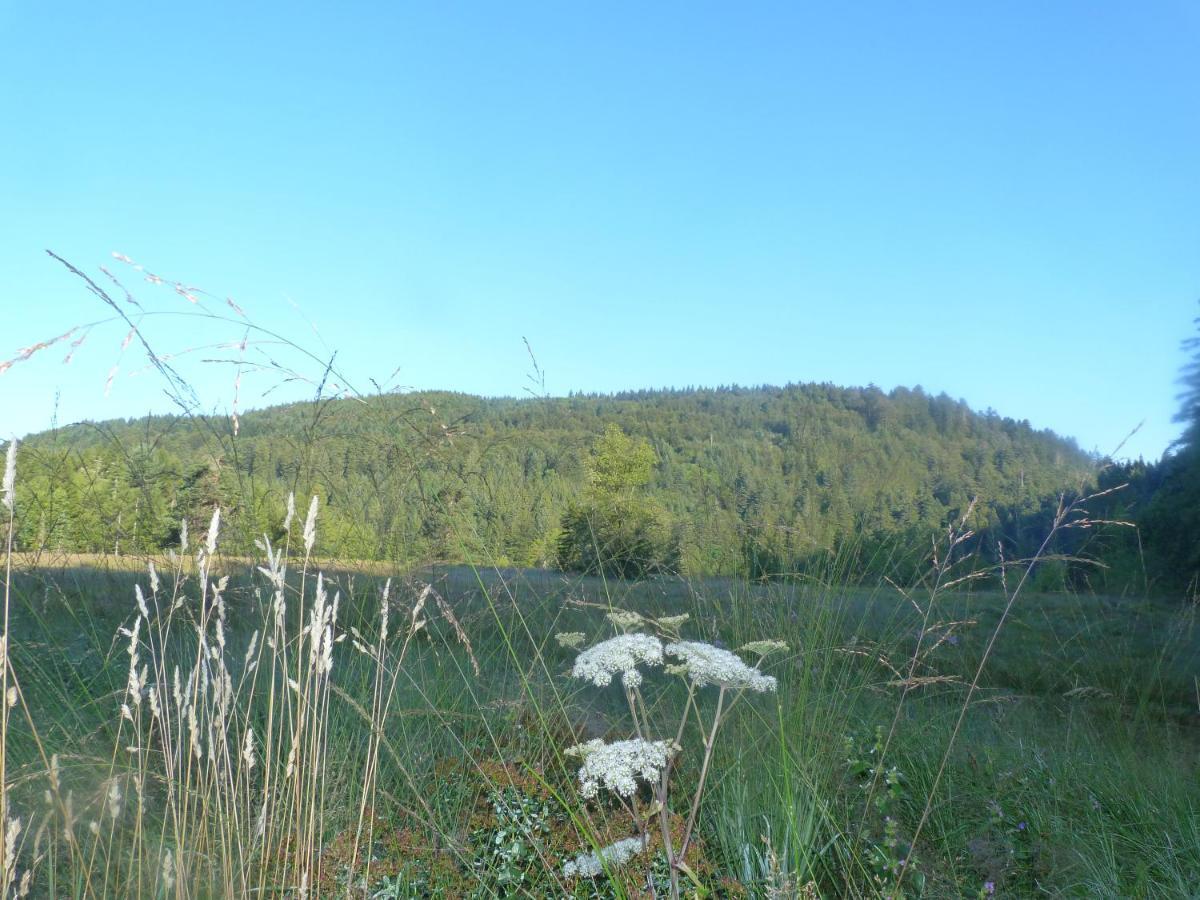 Domaine Des Hauts Viaux La Bresse Esterno foto