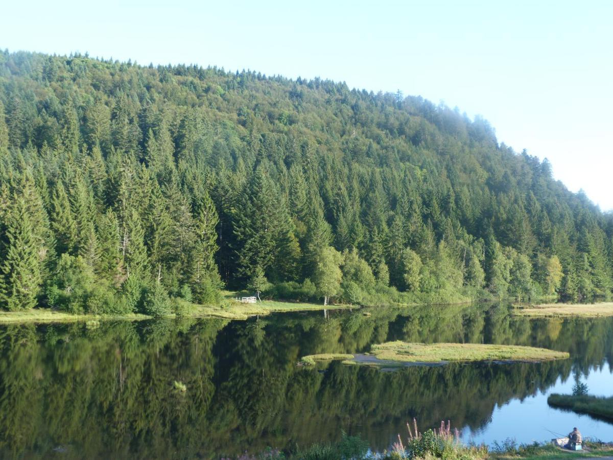 Domaine Des Hauts Viaux La Bresse Esterno foto