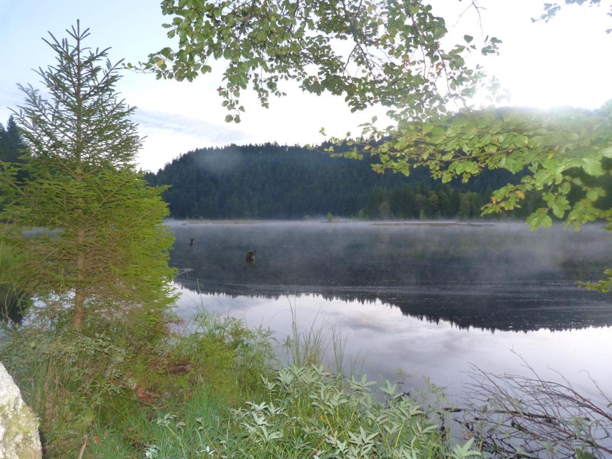 Domaine Des Hauts Viaux La Bresse Esterno foto