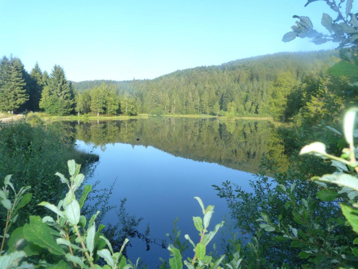 Domaine Des Hauts Viaux La Bresse Esterno foto
